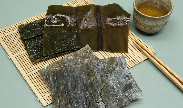 海带大片
